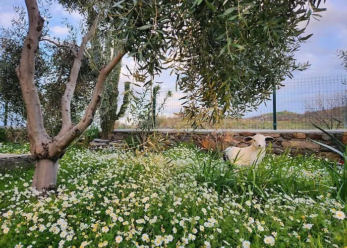 Eleia - Olive Garden & Stone House * Bodrum