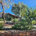Apartment Eleia - Olive Garden & Stone House