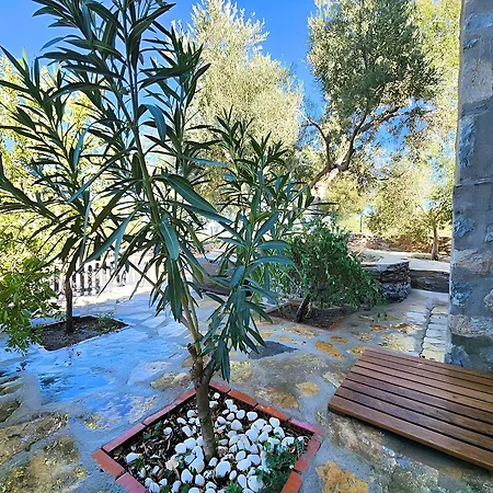 Eleia - Olive Garden&stone House * Bodrum