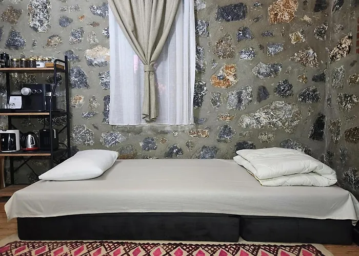 Eleia - Olive Garden & Stone House Apartmán