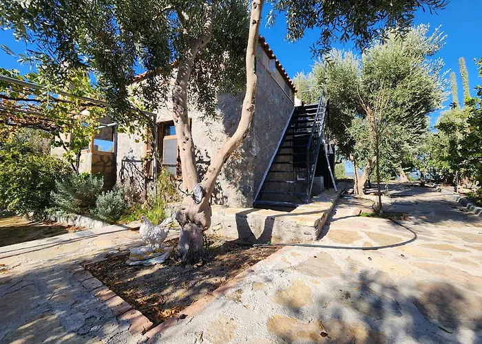 Eleia - Olive Garden & Stone House Apartament