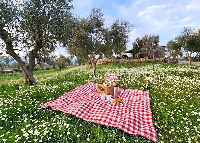 Eleia - Olive Garden & Stone House Apartament