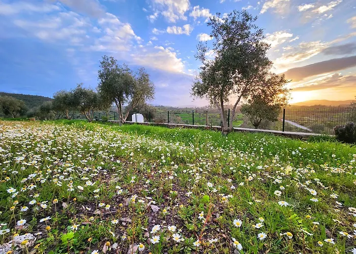 Eleia - Olive Garden & Stone House Apartament