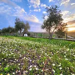Eleia - Olive Garden & Stone House Apartman