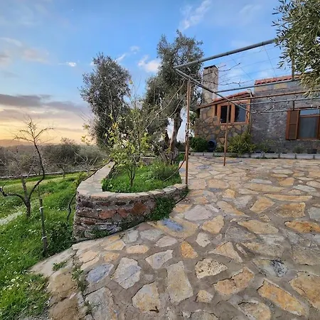 Lägenhet Eleia - Olive Garden&stone House