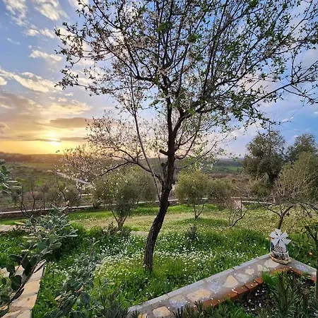 Eleia - Olive Garden&stone House Bodrum