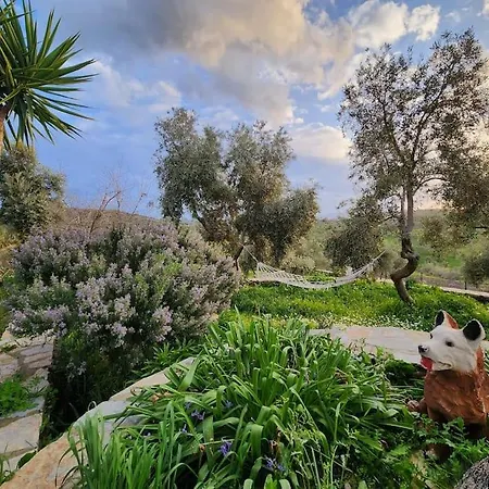 Eleia - Olive Garden&stone House Lägenhet