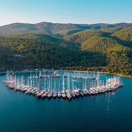 Lägenhet Eleia - Olive Garden&stone House