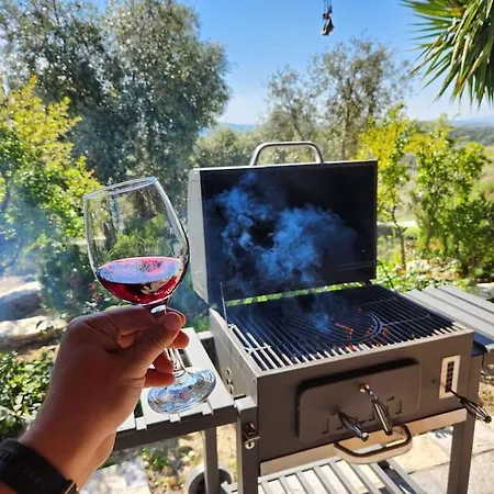 Eleia - Olive Garden&stone House *