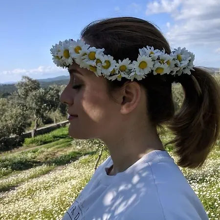 Lägenhet Eleia - Olive Garden&stone House