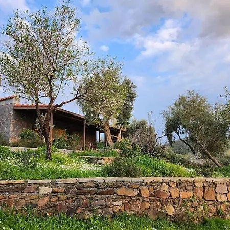 Eleia - Olive Garden & Stone House * Bodrum