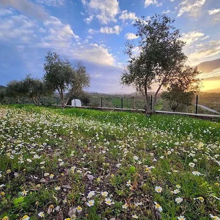 Eleia - Olive Garden&stone House