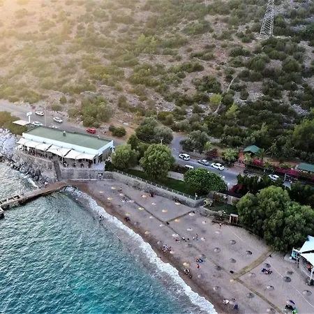 Eleia - Olive Garden&stone House *