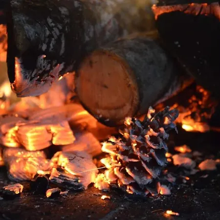 Eleia - Olive Garden&stone House Lägenhet