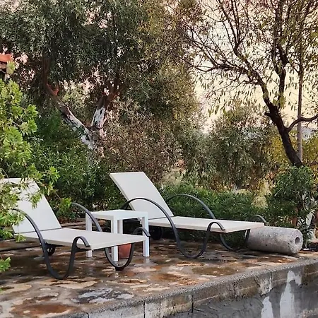 Apartment Eleia - Olive Garden & Stone House