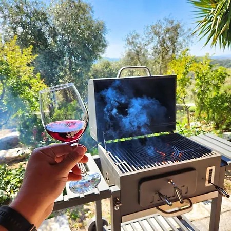 Eleia - Olive Garden & Stone House דירה