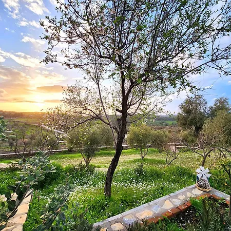 Eleia - Olive Garden & Stone House