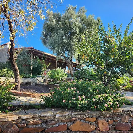 Apartament Eleia - Olive Garden & Stone House