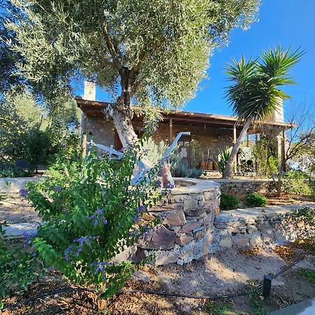 Eleia - Olive Garden & Stone House Apartament Bodrum