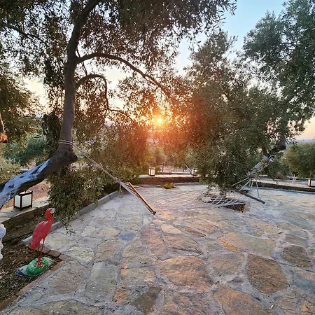 Eleia - Olive Garden & Stone House * Bodrum