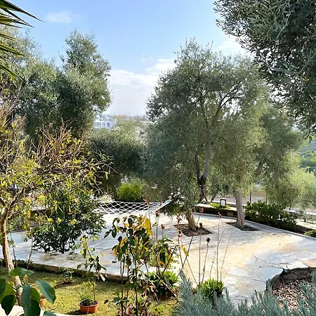 Apartment Eleia - Olive Garden & Stone House Bodrum