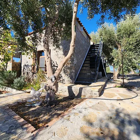 Eleia - Olive Garden & Stone House Apartament
