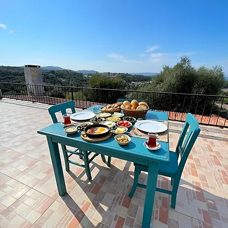Eleia - Olive Garden & Stone House Apartment *