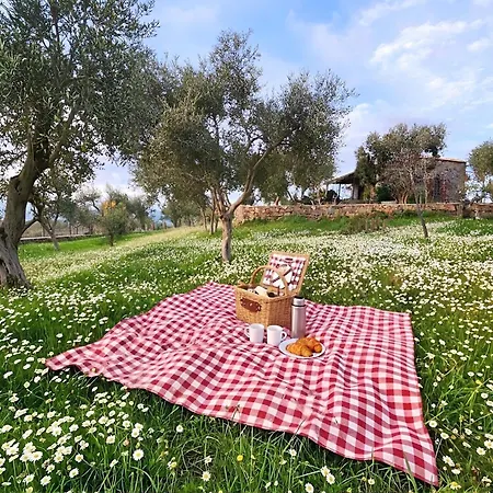 Eleia - Olive Garden & Stone House Apartment