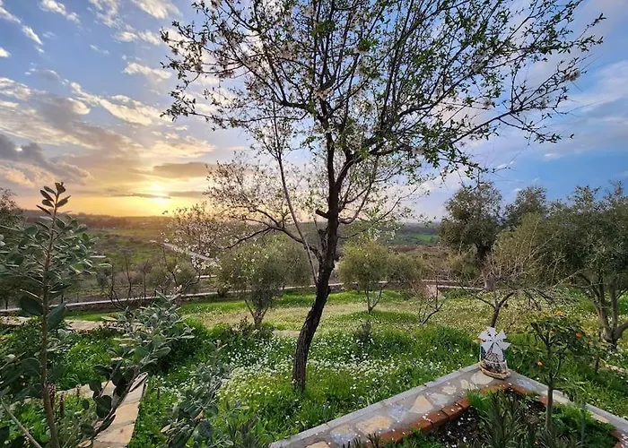 Eleia - Olive Garden & Stone House Αλικαρνασσός