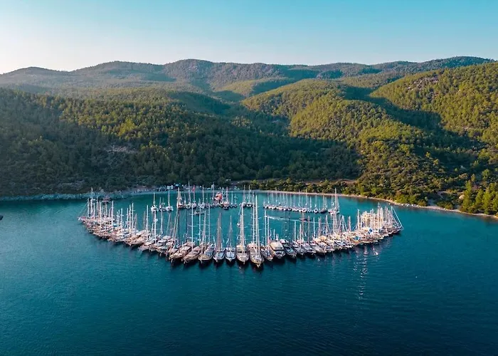 Διαμέρισμα Eleia - Olive Garden & Stone House