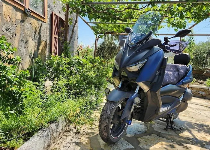 Eleia - Olive Garden & Stone House Διαμέρισμα *