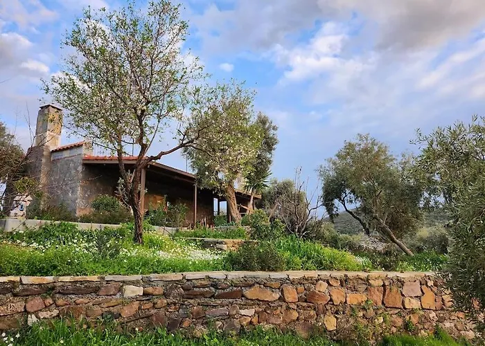 Eleia - Olive Garden & Stone House * Αλικαρνασσός