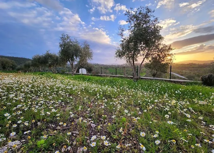 Eleia - Olive Garden & Stone House