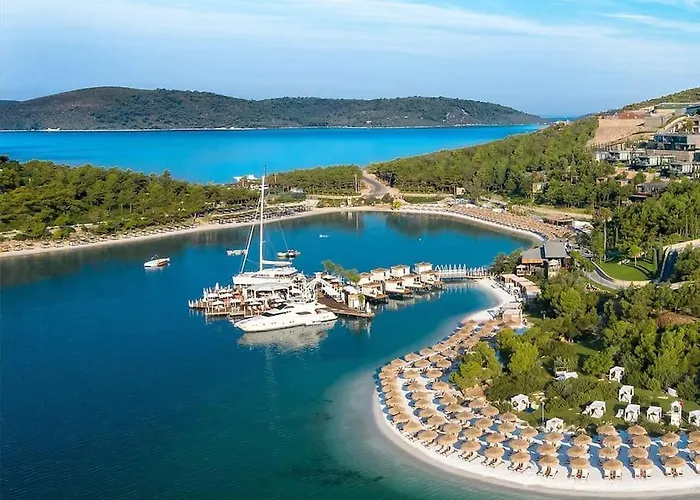 Eleia - Olive Garden & Stone House Lejlighed Bodrum