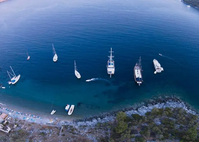 Lejlighed Eleia - Olive Garden & Stone House