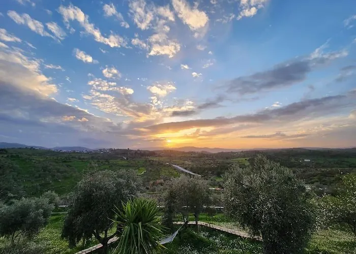 Eleia - Olive Garden & Stone House Διαμέρισμα Αλικαρνασσός