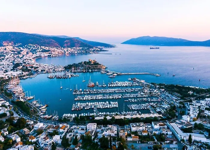 Eleia - Olive Garden & Stone House Lejlighed Bodrum