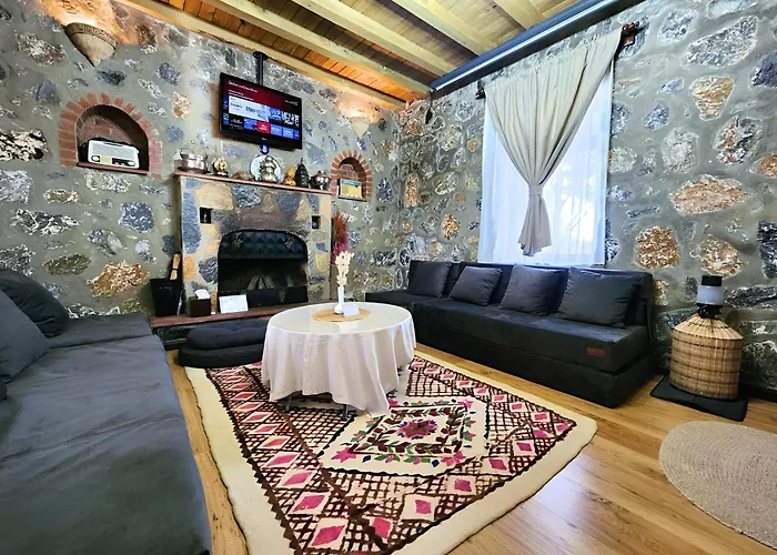 Eleia - Olive Garden & Stone House דירה