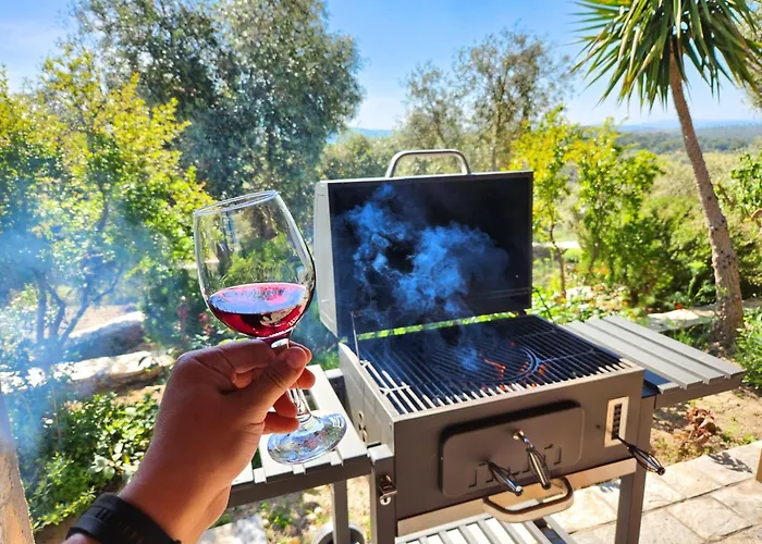 Eleia - Olive Garden & Stone House דירה