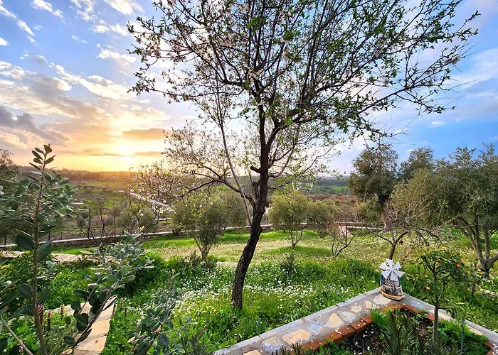 Eleia - Olive Garden & Stone House