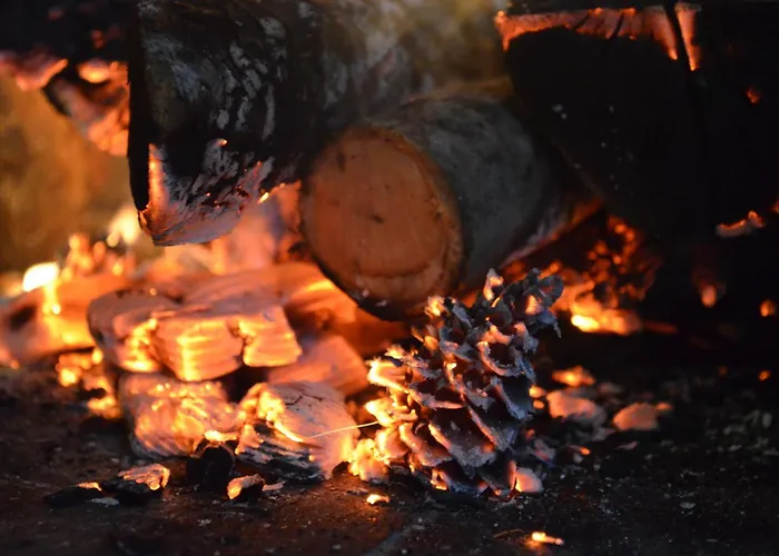 דירה Eleia - Olive Garden & Stone House