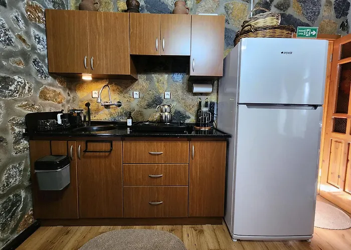 Eleia - Olive Garden & Stone House בודרום