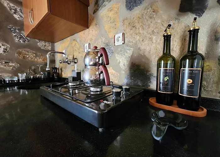 Eleia - Olive Garden & Stone House דירה *