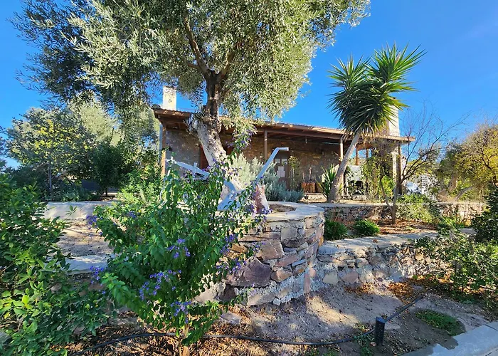 Eleia - Olive Garden & Stone House דירה בודרום