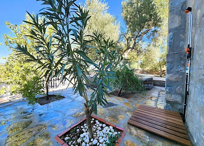 Eleia - Olive Garden & Stone House * בודרום