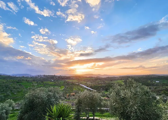 Eleia - Olive Garden & Stone House