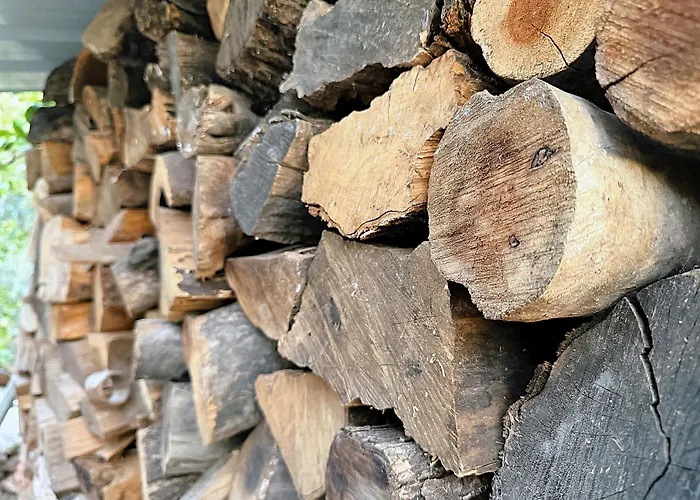 Eleia - Olive Garden & Stone House בודרום