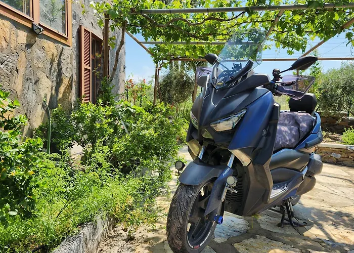 Eleia - Olive Garden & Stone House בודרום