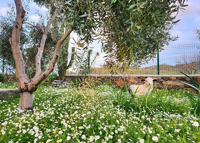 Eleia - Olive Garden & Stone House דירה בודרום