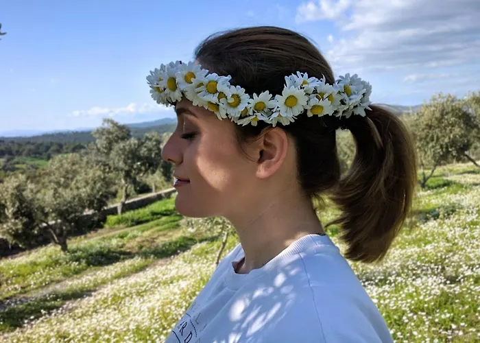 דירה Eleia - Olive Garden & Stone House *